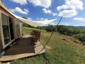 Tiny house with mountain view